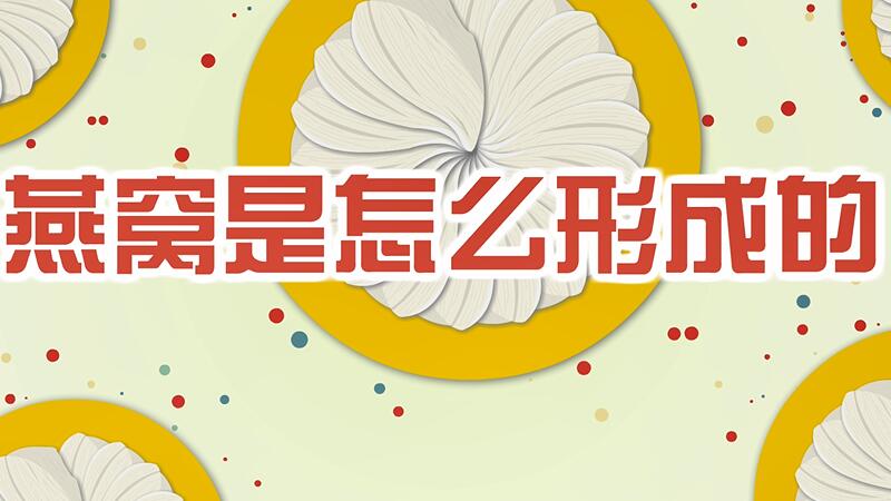 燕窩是怎么形成的