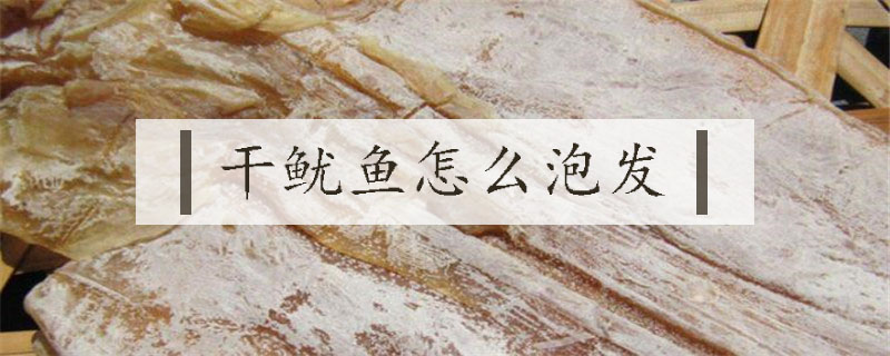 干魷魚怎么泡發