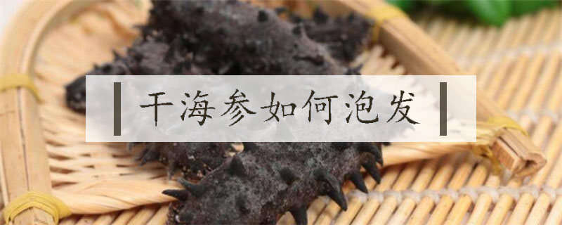 干海參如何泡發