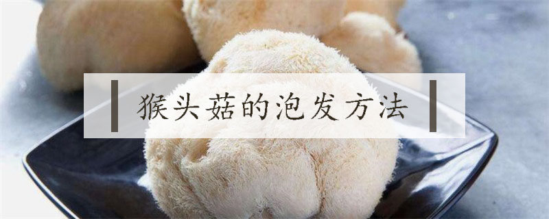猴頭菇的泡發方法