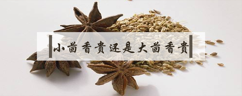 小茴香貴還是大茴香貴
