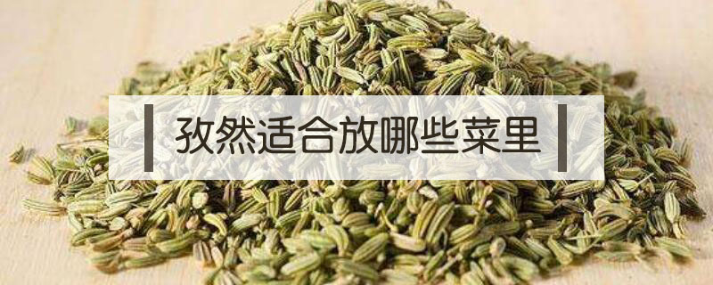 孜然適合放哪些菜里