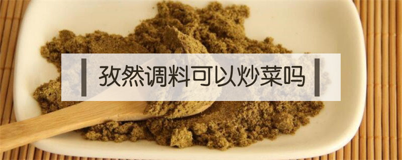 孜然調料可以炒菜嗎