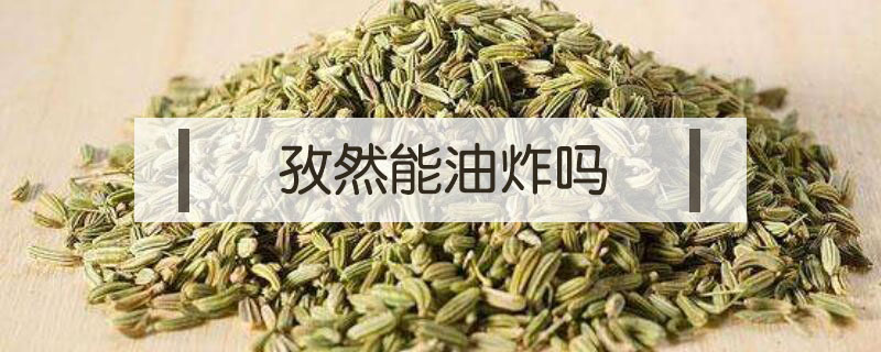 孜然能油炸嗎