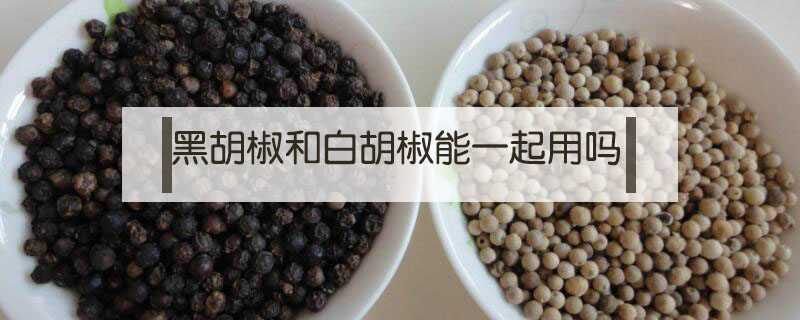 黑胡椒和白胡椒能一起用嗎