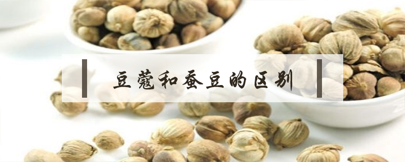 豆蔻和蠶豆的區(qū)別