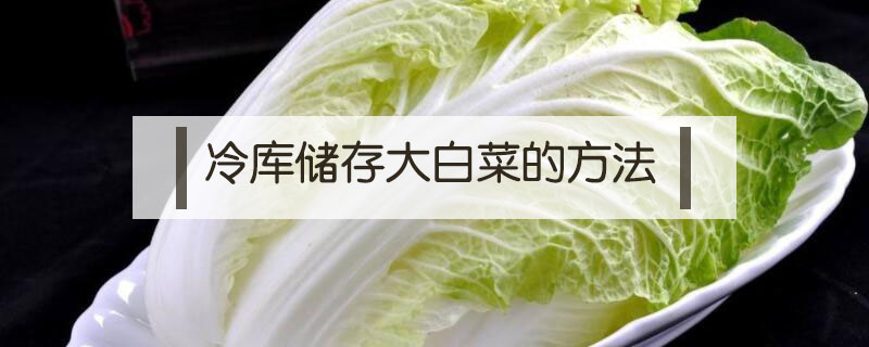 冷庫儲存大白菜的方法