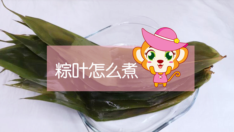 粽葉怎么煮