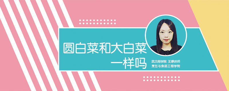 圓白菜和大白菜一樣嗎