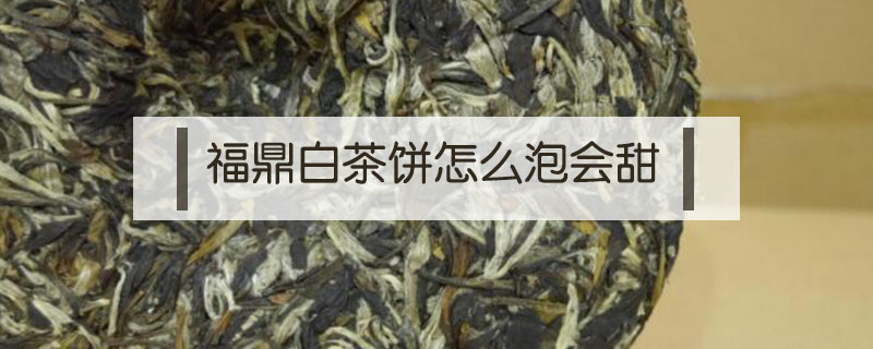 福鼎白茶餅怎么泡會(huì)甜