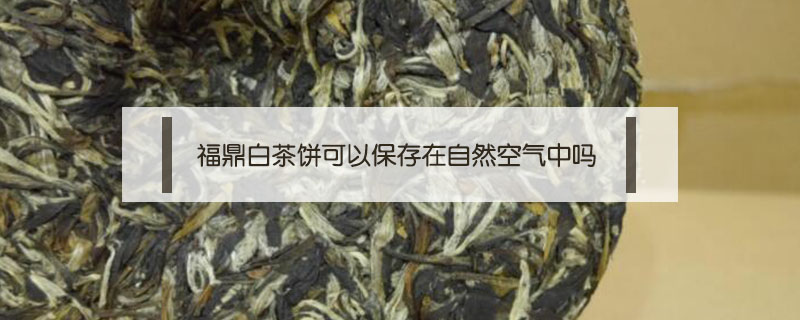 福鼎白茶餅可以保存在自然空氣中嗎