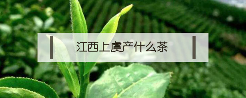 江西上虞產什么茶