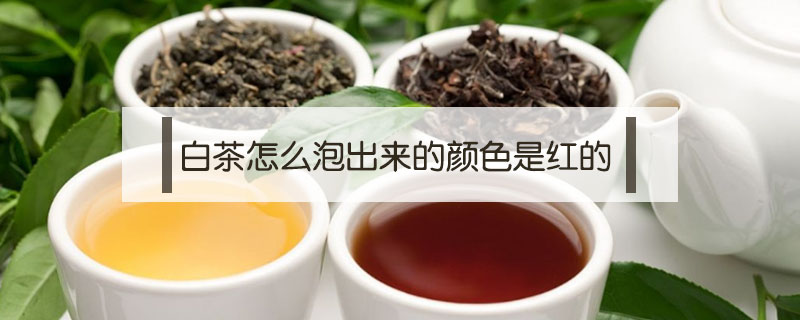 白茶怎么泡出來(lái)的顏色是紅的