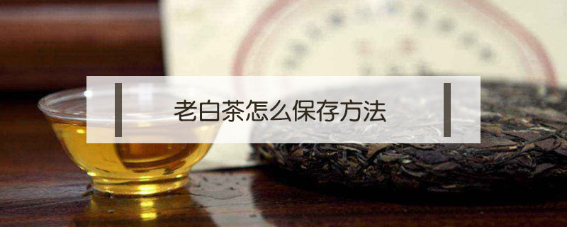 福鼎老白茶餅怎么保存