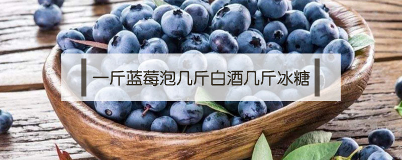 一斤藍(lán)莓泡幾斤白酒幾斤冰糖