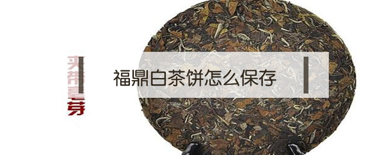 福鼎白茶餅怎么保存