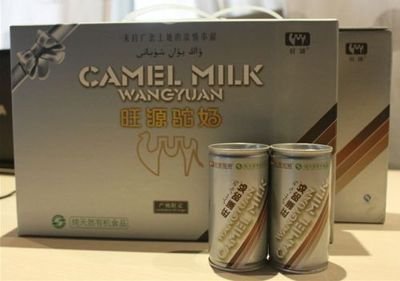 駱駝奶比牛奶好嗎，駱駝奶粉和牛奶粉有什么區(qū)別