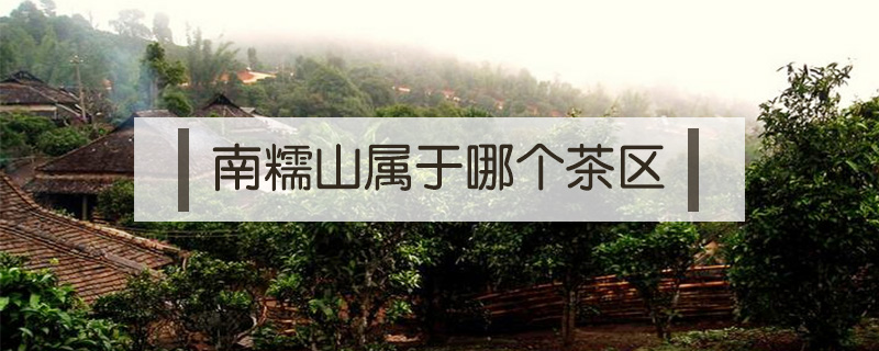 南糯山屬于哪個茶區(qū)