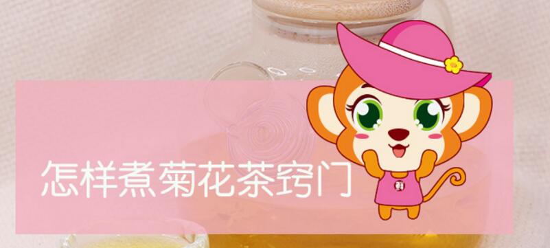 怎樣煮菊花茶竅門