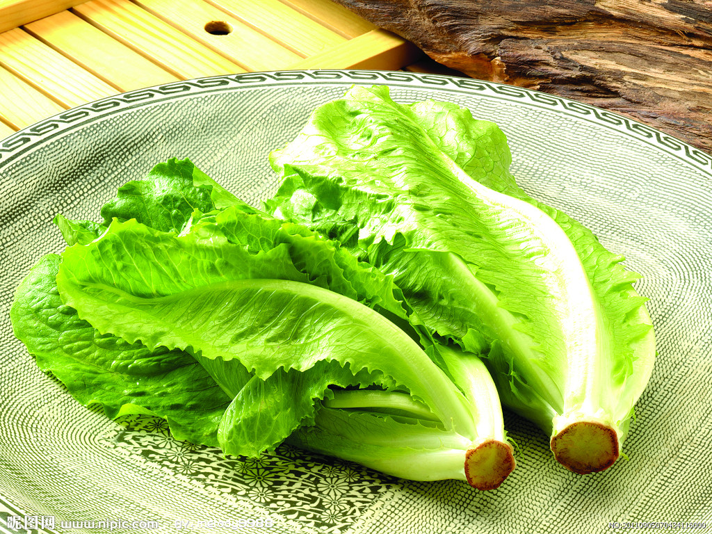 生菜的吃法有幾種，生菜為什么不長(zhǎng)蟲(chóng)