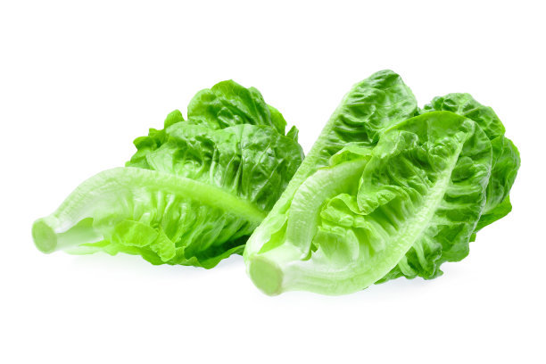 減肥吃生菜好嗎，減肥吃生菜和什么搭配