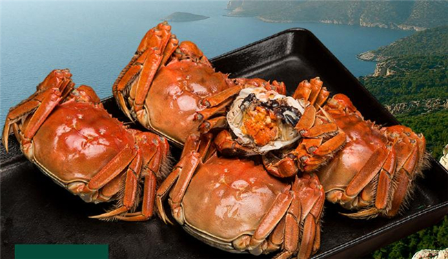 黃河口大閘蟹最佳季節，黃河口大閘蟹和陽澄湖大閘蟹的區別