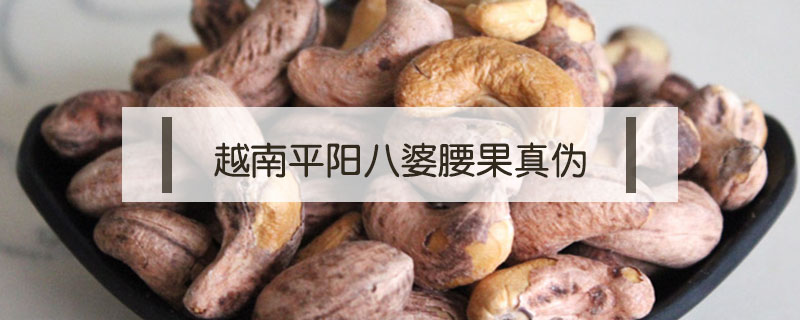越南平陽(yáng)八婆腰果真?zhèn)? /></a>
						<div   id=