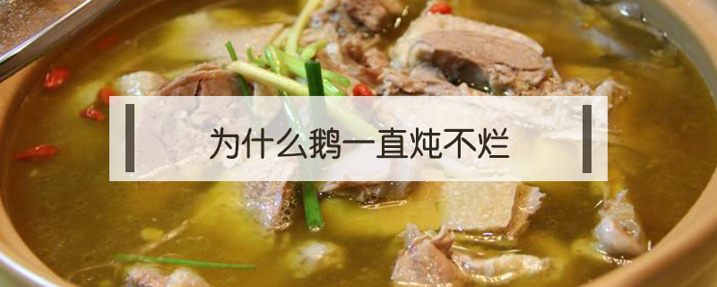 為什么鵝一直燉不爛