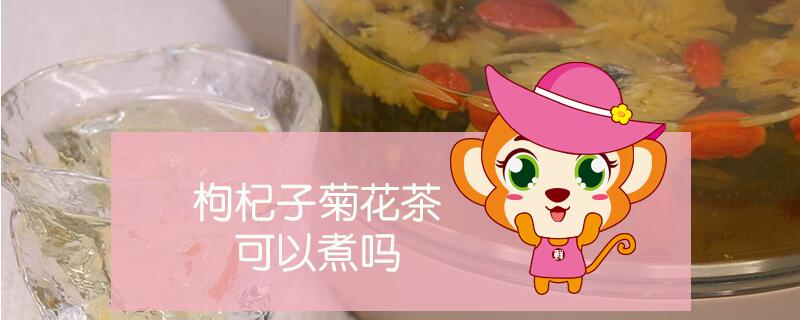 枸杞子菊花茶可以煮嗎