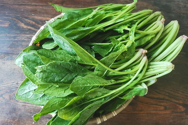 菠菜豆腐相克嗎，菠菜相克的食物有哪些