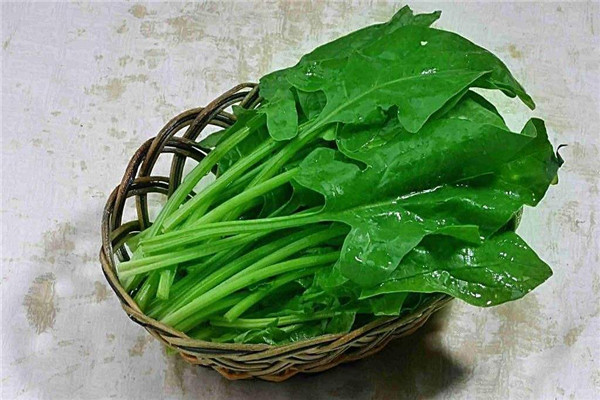 菠菜涼拌怎么好吃，菠菜涼拌要焯水多長時(shí)間才行