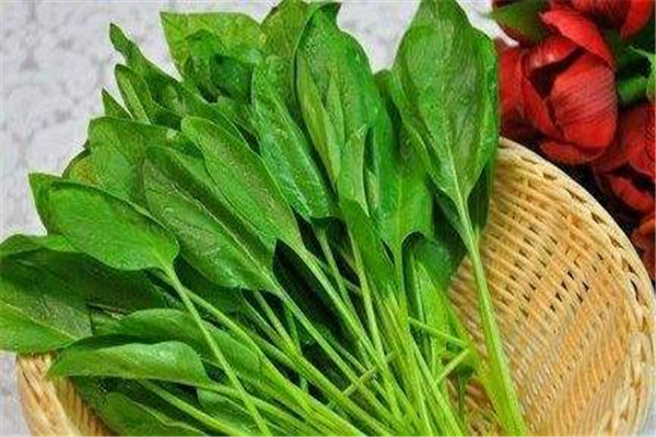 菠菜煮久了能吃嗎，菠菜和蝦能一起煮嗎