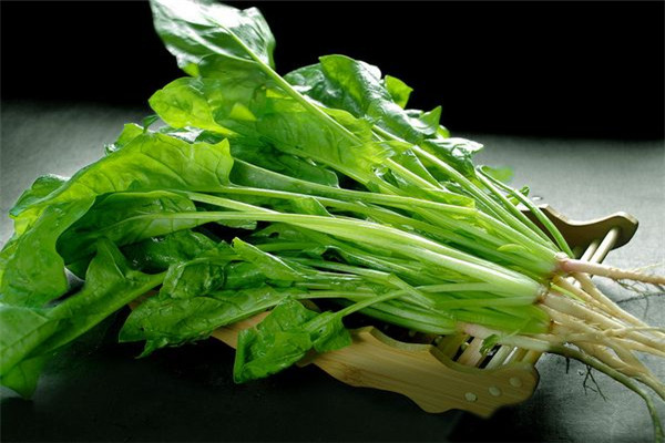 為什么不能經常吃菠菜，什么時候不能吃菠菜