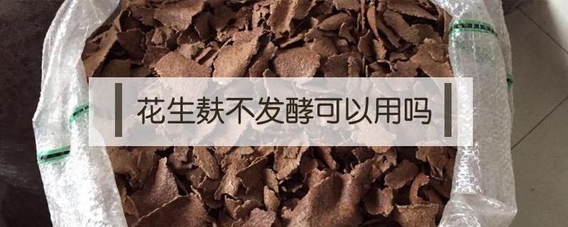 花生麩不發酵可以用嗎