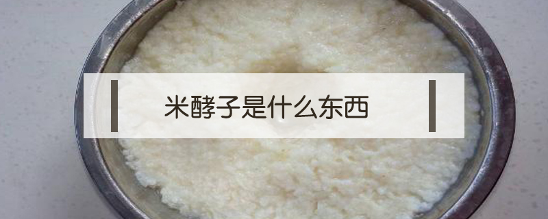 米酵子是什么東西