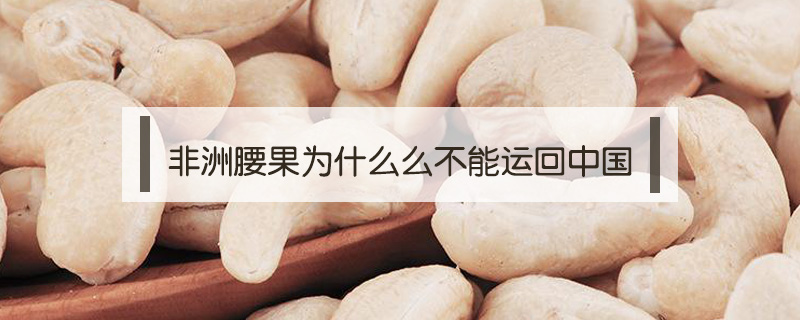 非洲腰果為什么么不能運(yùn)回中國(guó)