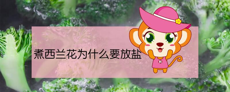 煮西蘭花為什么要放鹽