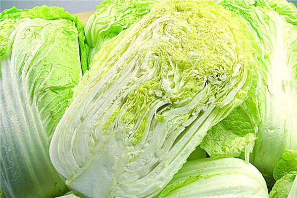 大白菜的營養(yǎng)價值及功效，怎么挑選新鮮大白菜