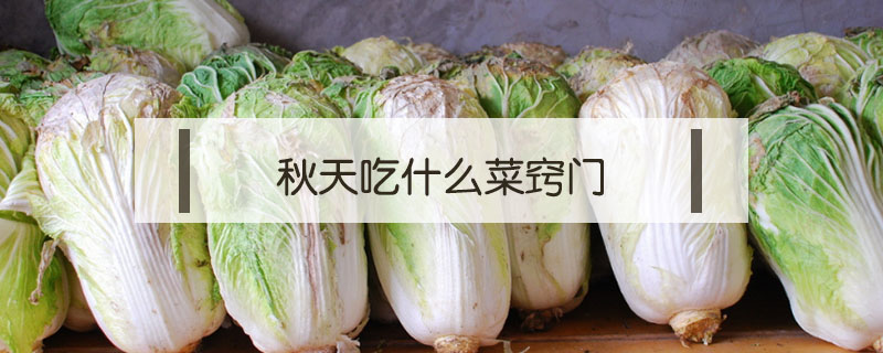 秋天吃什么菜竅門