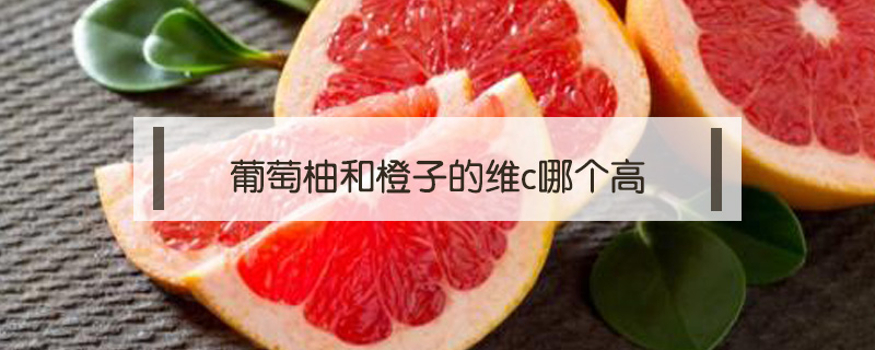 葡萄柚和橙子的維c哪個(gè)高