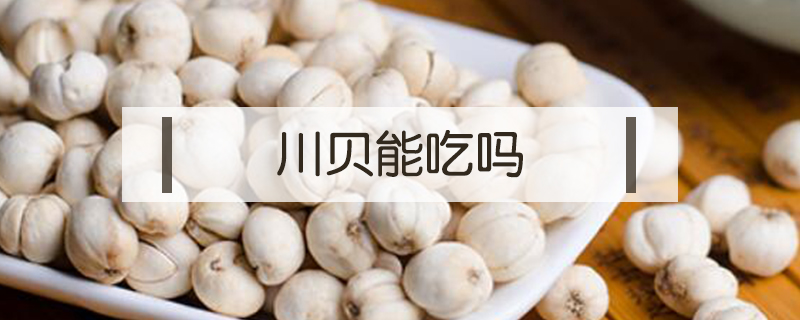 川貝能吃嗎