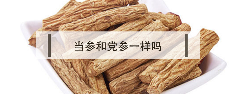 當參和黨參一樣嗎