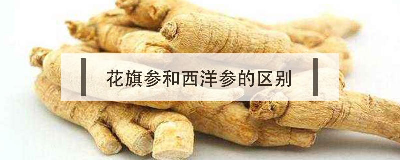 花旗參和西洋參的區別