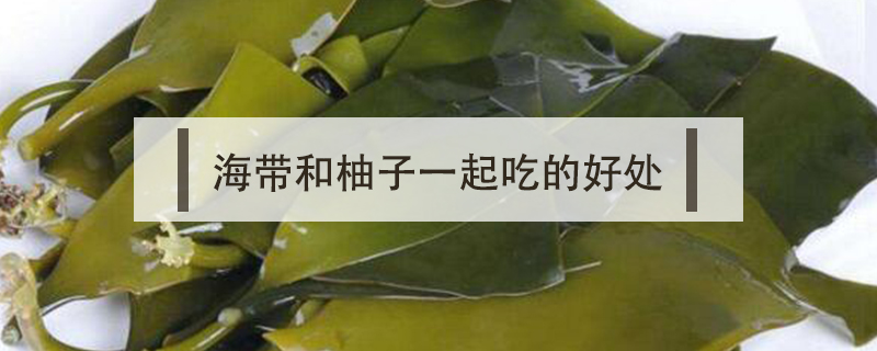 海帶和柚子一起吃的好處
