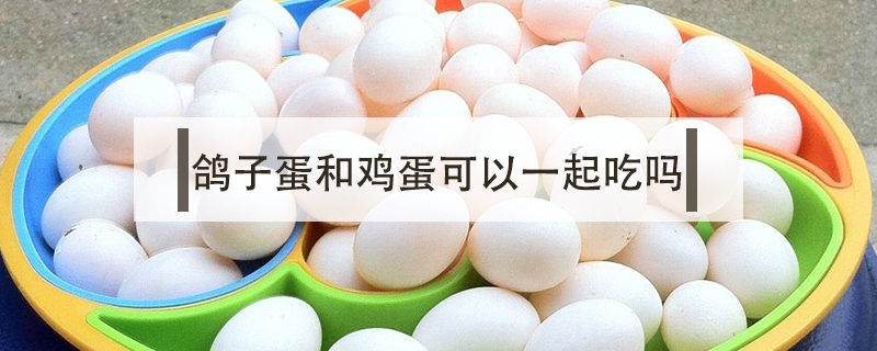 鴿子蛋和雞蛋可以一起吃嗎
