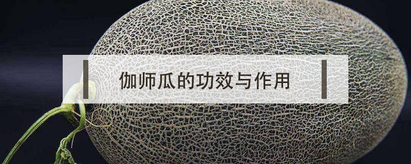 伽師瓜的功效與作用