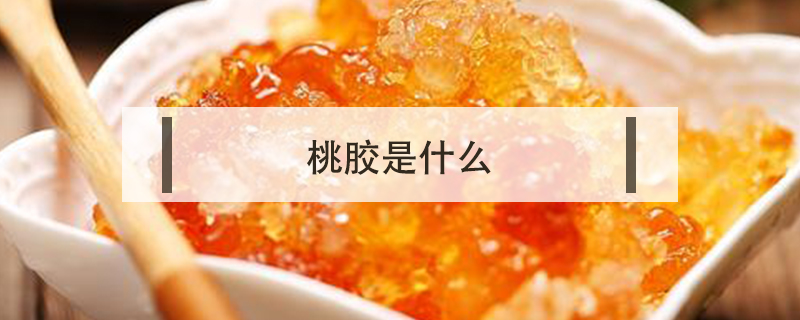 桃膠是什么
