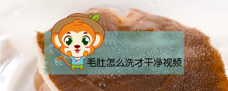毛肚怎么洗才干凈視頻