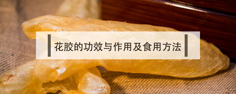 花膠的功效與作用及食用方法