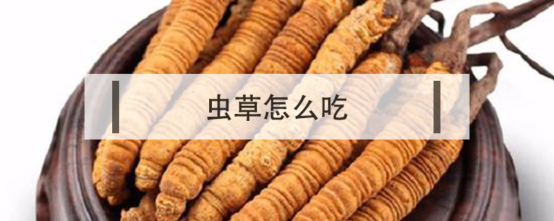 蟲草怎么吃